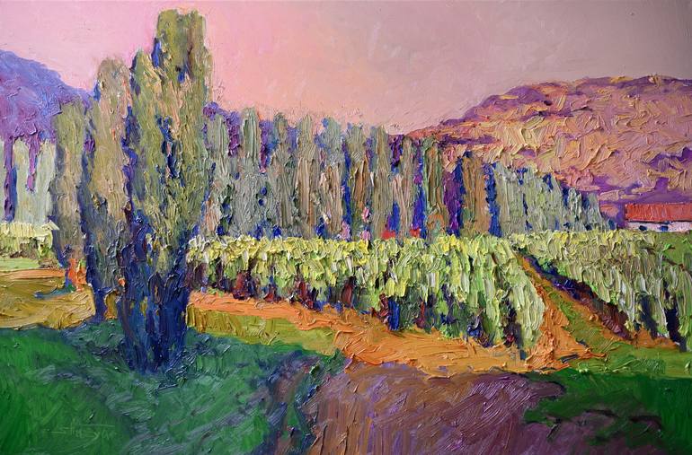 Vineyards and Poplars