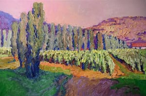 Vineyards and Poplars